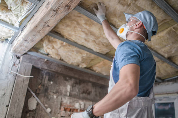 Best Insulation Maintenance and Repair in San Dimas, CA