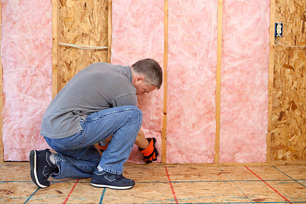 Best Types of Insulation in San Dimas, CA